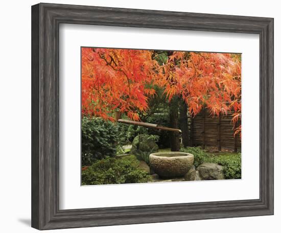 Portland Japanese Garden in Autumn, Portland, Oregon, USA,-Michel Hersen-Framed Photographic Print