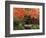 Portland Japanese Garden in Autumn, Portland, Oregon, USA,-Michel Hersen-Framed Photographic Print