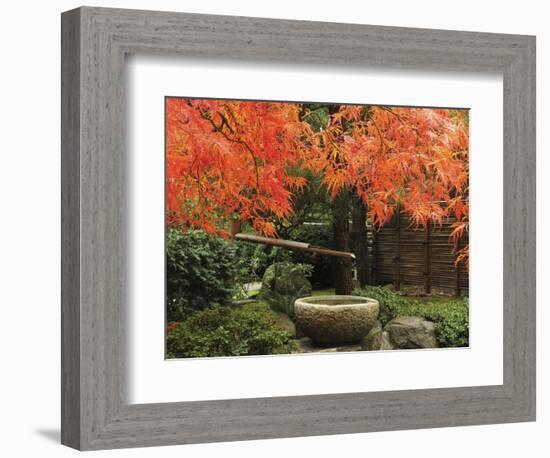 Portland Japanese Garden in Autumn, Portland, Oregon, USA,-Michel Hersen-Framed Photographic Print