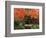 Portland Japanese Garden in Autumn, Portland, Oregon, USA,-Michel Hersen-Framed Photographic Print