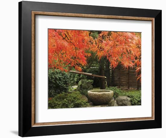 Portland Japanese Garden in Autumn, Portland, Oregon, USA,-Michel Hersen-Framed Photographic Print