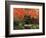 Portland Japanese Garden in Autumn, Portland, Oregon, USA,-Michel Hersen-Framed Photographic Print