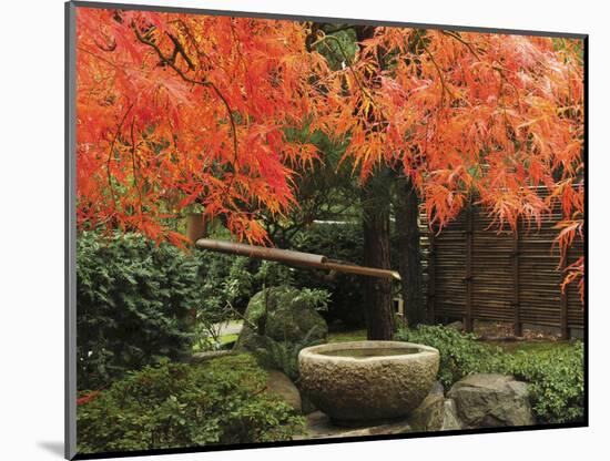 Portland Japanese Garden in Autumn, Portland, Oregon, USA,-Michel Hersen-Mounted Photographic Print