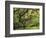 Portland Japanese Garden in Early Autumn: Portland Japanese Garden, Portland, Oregon, USA-Michel Hersen-Framed Photographic Print