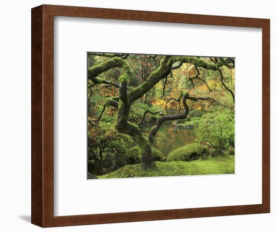 Portland Japanese Garden in Early Autumn: Portland Japanese Garden, Portland, Oregon, USA-Michel Hersen-Framed Photographic Print