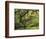 Portland Japanese Garden in Early Autumn: Portland Japanese Garden, Portland, Oregon, USA-Michel Hersen-Framed Photographic Print