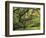 Portland Japanese Garden in Early Autumn: Portland Japanese Garden, Portland, Oregon, USA-Michel Hersen-Framed Photographic Print