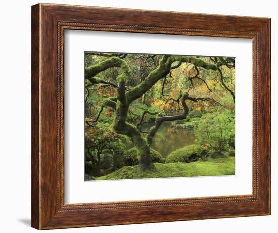 Portland Japanese Garden in Early Autumn: Portland Japanese Garden, Portland, Oregon, USA-Michel Hersen-Framed Photographic Print