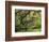 Portland Japanese Garden in Early Autumn: Portland Japanese Garden, Portland, Oregon, USA-Michel Hersen-Framed Photographic Print