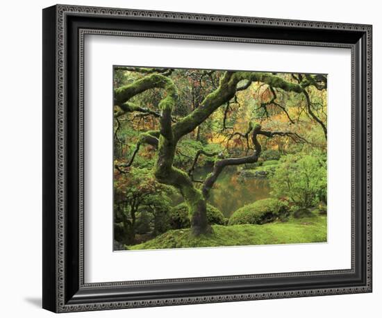 Portland Japanese Garden in Early Autumn: Portland Japanese Garden, Portland, Oregon, USA-Michel Hersen-Framed Photographic Print