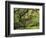 Portland Japanese Garden in Early Autumn: Portland Japanese Garden, Portland, Oregon, USA-Michel Hersen-Framed Photographic Print