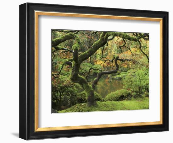 Portland Japanese Garden in Early Autumn: Portland Japanese Garden, Portland, Oregon, USA-Michel Hersen-Framed Photographic Print