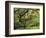 Portland Japanese Garden in Early Autumn: Portland Japanese Garden, Portland, Oregon, USA-Michel Hersen-Framed Photographic Print