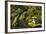 Portland Japanese Garden in Spring, Portland, Oregon, USA-Michel Hersen-Framed Photographic Print