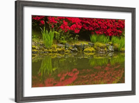 Portland Japanese Garden in Spring, Portland, Oregon, Usa-Michel Hersen-Framed Photographic Print