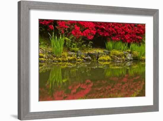 Portland Japanese Garden in Spring, Portland, Oregon, Usa-Michel Hersen-Framed Photographic Print