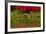 Portland Japanese Garden in Spring, Portland, Oregon, Usa-Michel Hersen-Framed Photographic Print