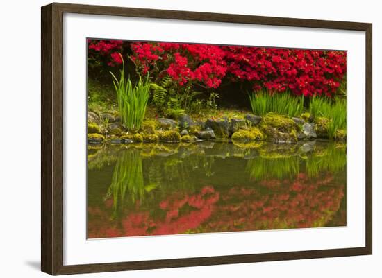 Portland Japanese Garden in Spring, Portland, Oregon, Usa-Michel Hersen-Framed Photographic Print