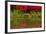 Portland Japanese Garden in Spring, Portland, Oregon, Usa-Michel Hersen-Framed Photographic Print