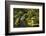 Portland Japanese Garden in Spring, Portland, Oregon, USA-Michel Hersen-Framed Photographic Print