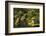 Portland Japanese Garden in Spring, Portland, Oregon, USA-Michel Hersen-Framed Photographic Print