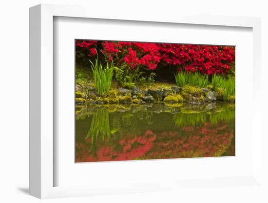 Portland Japanese Garden in Spring, Portland, Oregon, Usa-Michel Hersen-Framed Photographic Print