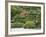 Portland Japanese Garden, Oregon, USA-William Sutton-Framed Photographic Print