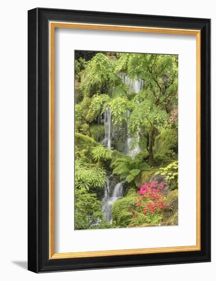 Portland Japanese Garden, Oregon.-William Sutton-Framed Photographic Print