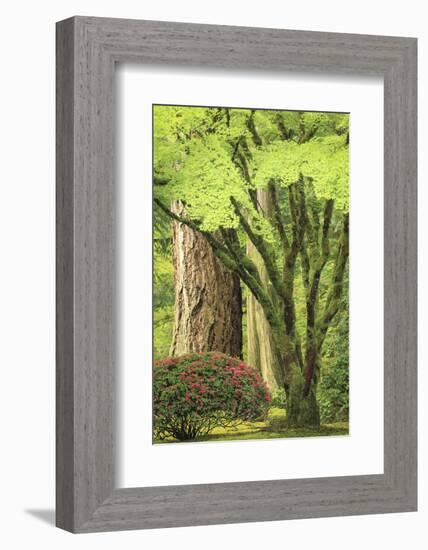 Portland Japanese Garden, Oregon.-William Sutton-Framed Photographic Print