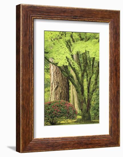 Portland Japanese Garden, Oregon.-William Sutton-Framed Photographic Print