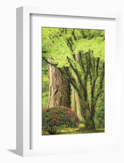 Portland Japanese Garden, Oregon.-William Sutton-Framed Photographic Print