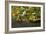 Portland Japanese Garden, Portland, Oregon, USA-Michel Hersen-Framed Photographic Print