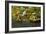 Portland Japanese Garden, Portland, Oregon, USA-Michel Hersen-Framed Photographic Print