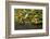 Portland Japanese Garden, Portland, Oregon, USA-Michel Hersen-Framed Photographic Print