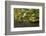 Portland Japanese Garden, Portland, Oregon, USA-Michel Hersen-Framed Photographic Print