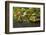 Portland Japanese Garden, Portland, Oregon, USA-Michel Hersen-Framed Photographic Print