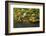 Portland Japanese Garden, Portland, Oregon, USA-Michel Hersen-Framed Photographic Print