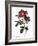 Portland Rose-Pierre Joseph Redoute-Framed Giclee Print