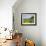 Porto Formoso tea fields, Sao Miguel Island, Azores, Portugal, Atlantic, Europe-Karol Kozlowski-Framed Photographic Print displayed on a wall