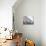 Portobello Pastels-Assaf Frank-Giclee Print displayed on a wall