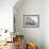 Portobello Pastels-Assaf Frank-Framed Giclee Print displayed on a wall