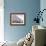Portobello Pastels-Assaf Frank-Framed Giclee Print displayed on a wall