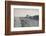 'Portobello - The Beach', 1895-Unknown-Framed Photographic Print