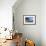 Portofino, Liguria, Italy, Europe-Peter Groenendijk-Framed Photographic Print displayed on a wall
