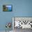 Portofino Luxury-Jeni Foto-Framed Premier Image Canvas displayed on a wall