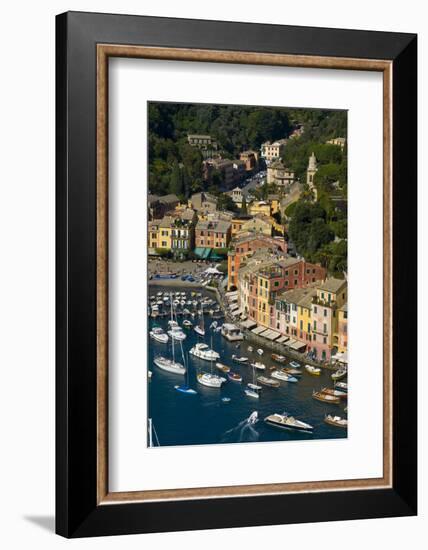 Portofino, Riviera Di Levante, Liguria, Italy, Europe-Charles Bowman-Framed Photographic Print