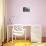 Portofino Villa-Howard Behrens-Premium Giclee Print displayed on a wall