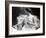 Portrait around, 1900 of the famous Dutch dancer MATA HARI, in a white dress (b/w photo)-null-Framed Photo