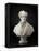 Portrait Bust of François René De Chateaubriand, 1828-1829 (Original Plaster, Pointed for Transfer)-Pierre Jean David d'Angers-Framed Premier Image Canvas