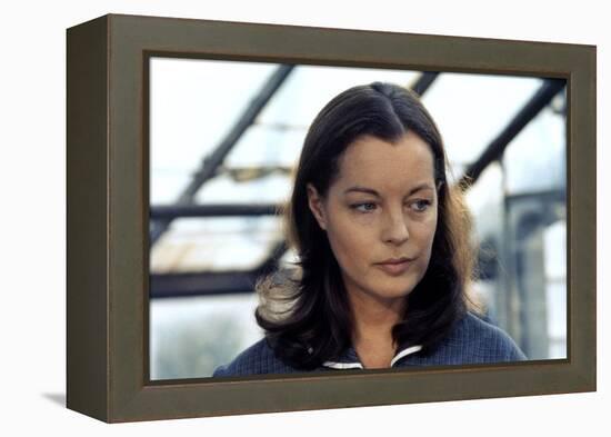 PORTRAIT by GROUPE with DAME, 1976 directed by ALEKSANDER PETROVI Romy Schneider (photo)-null-Framed Stretched Canvas